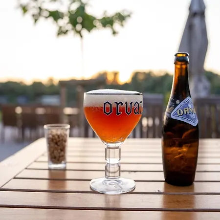 Modern Home, Hainaut 펜션 *